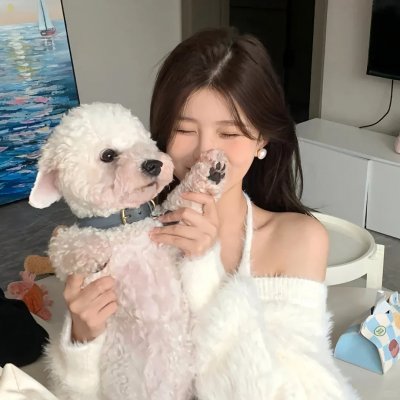 一条狗的回家路